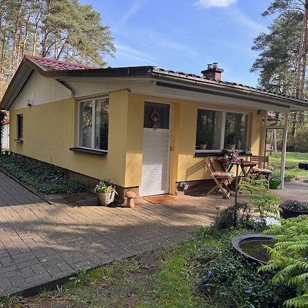 Ferienhaus Im Wald Borkwalde Kültér fotó