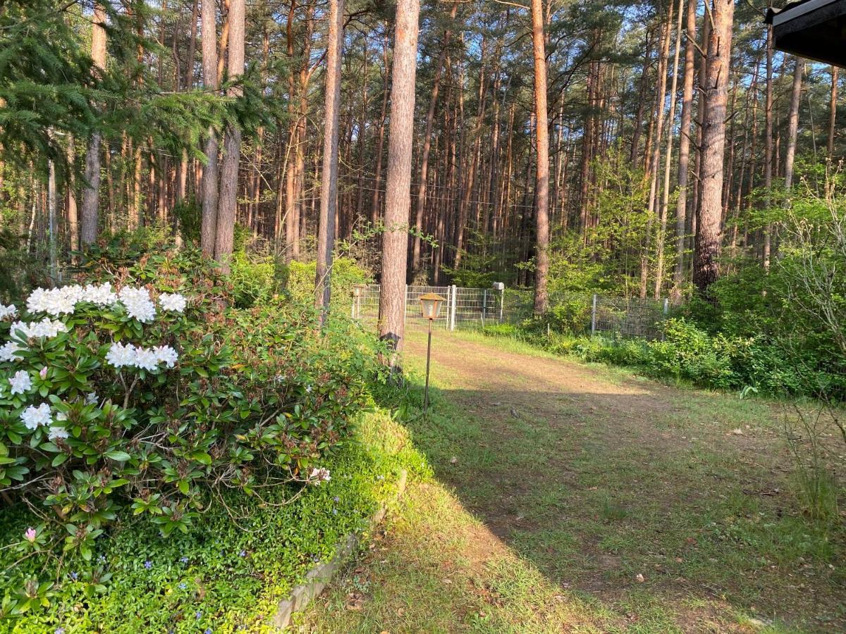 Ferienhaus Im Wald Borkwalde Kültér fotó