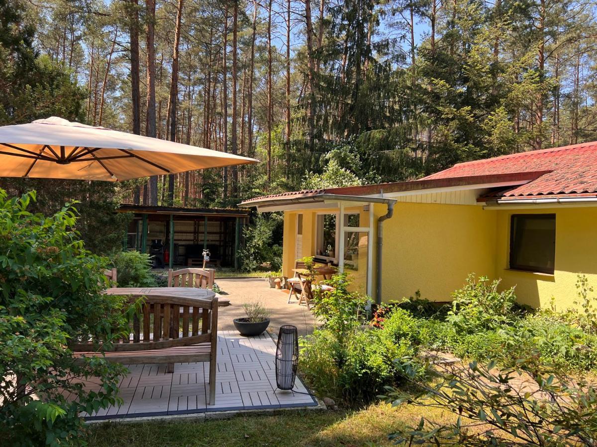 Ferienhaus Im Wald Borkwalde Kültér fotó