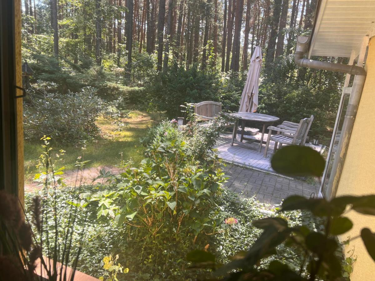 Ferienhaus Im Wald Borkwalde Kültér fotó