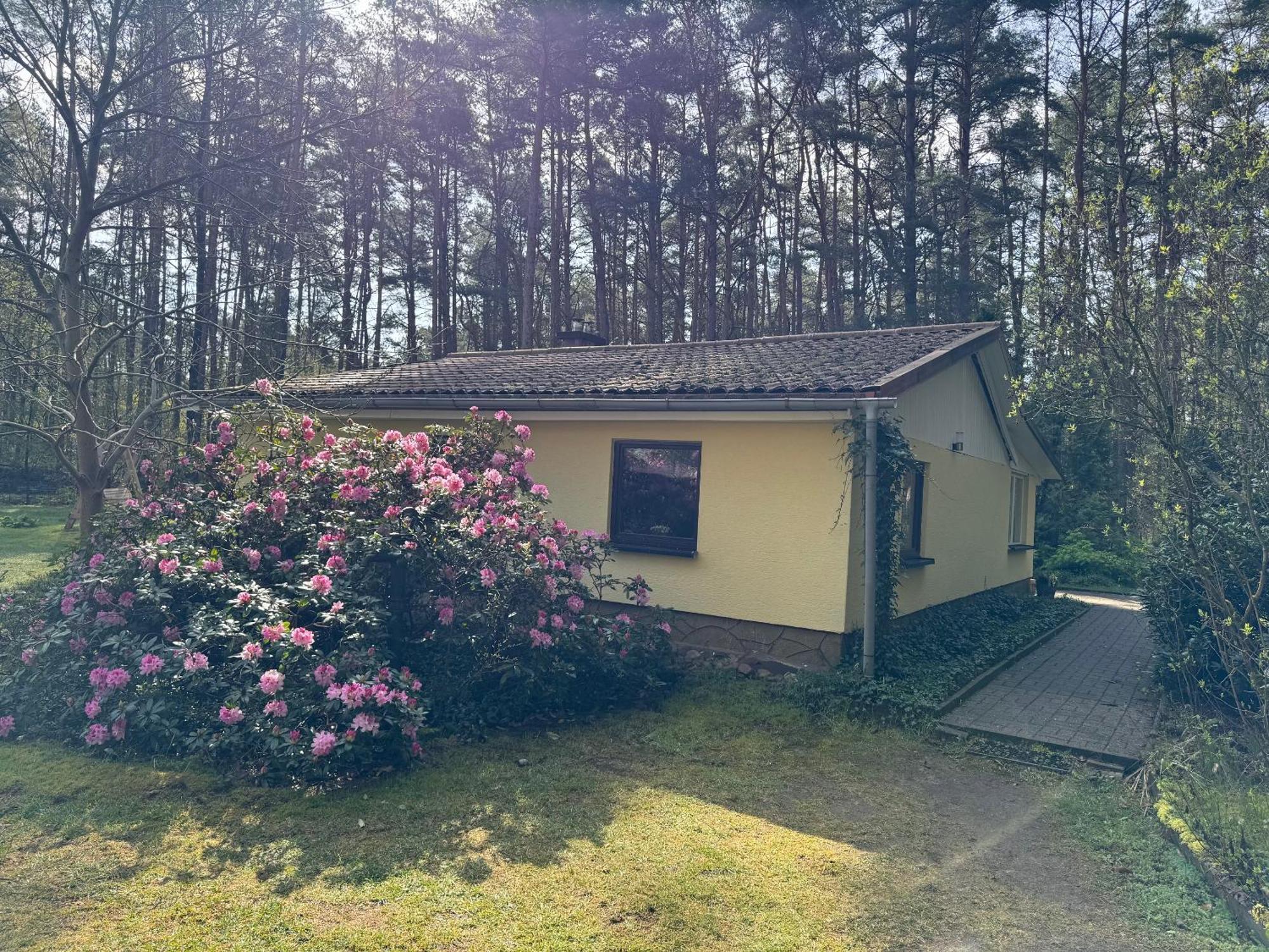 Ferienhaus Im Wald Borkwalde Kültér fotó