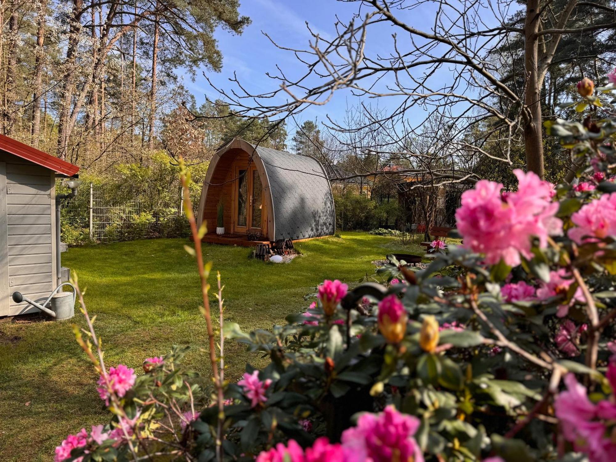 Ferienhaus Im Wald Borkwalde Kültér fotó